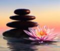 New Mindfulness Courses - Commencing October 13th/15th 2026.  Click for more info.